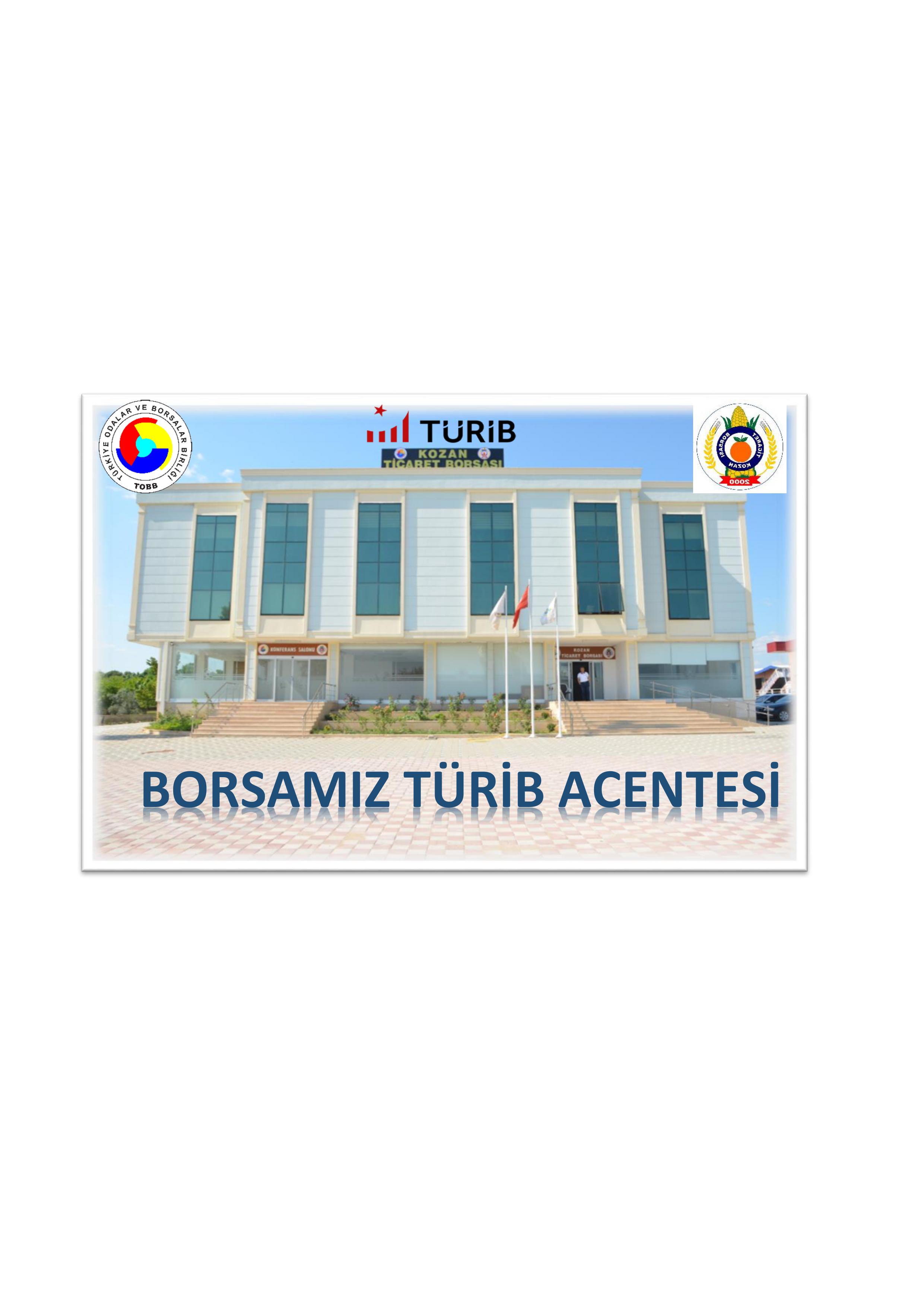 BORSAMIZ TÜRİB ACENTESİ [12.06.2019]